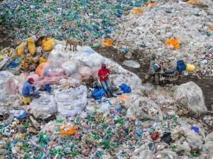 Plastic waste littered in New Delhi (image credit X @_NoPlasticWaste)