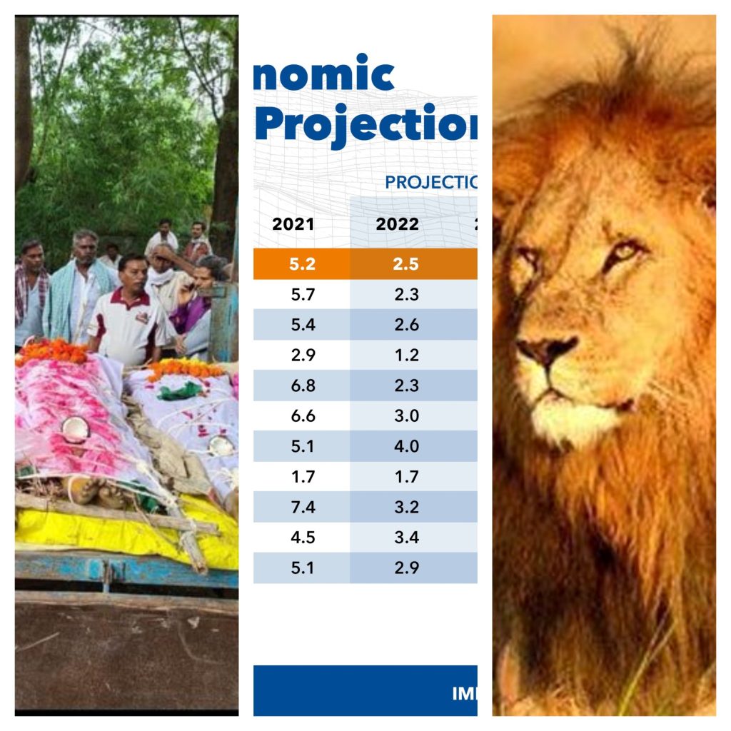 Kotad hooch tragedy; IMG growth projections; Asiatic lion