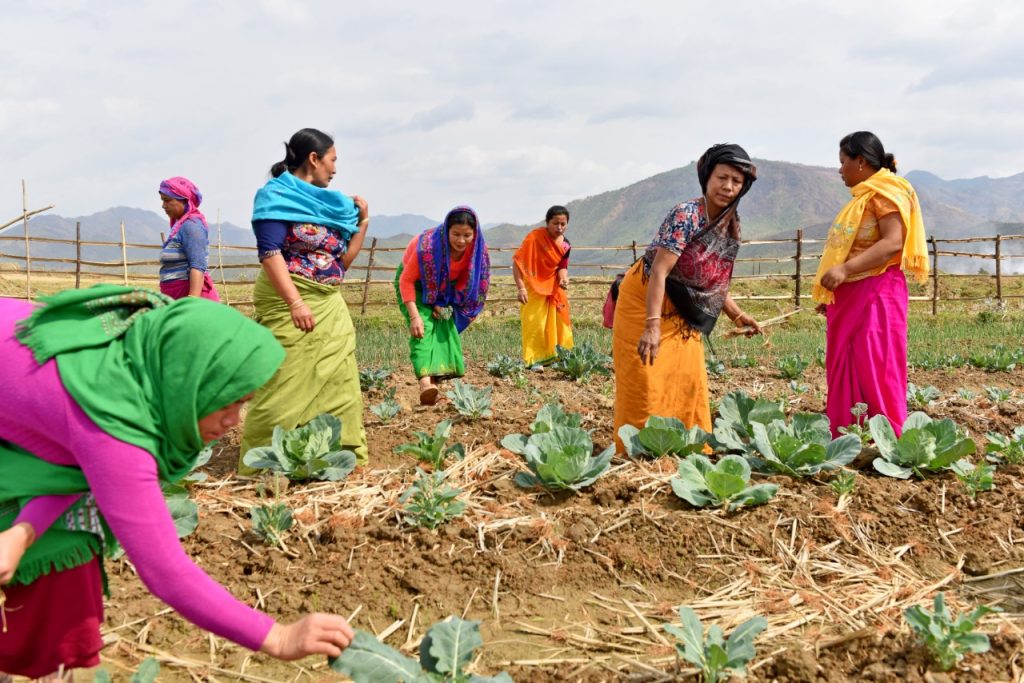MGNREGA