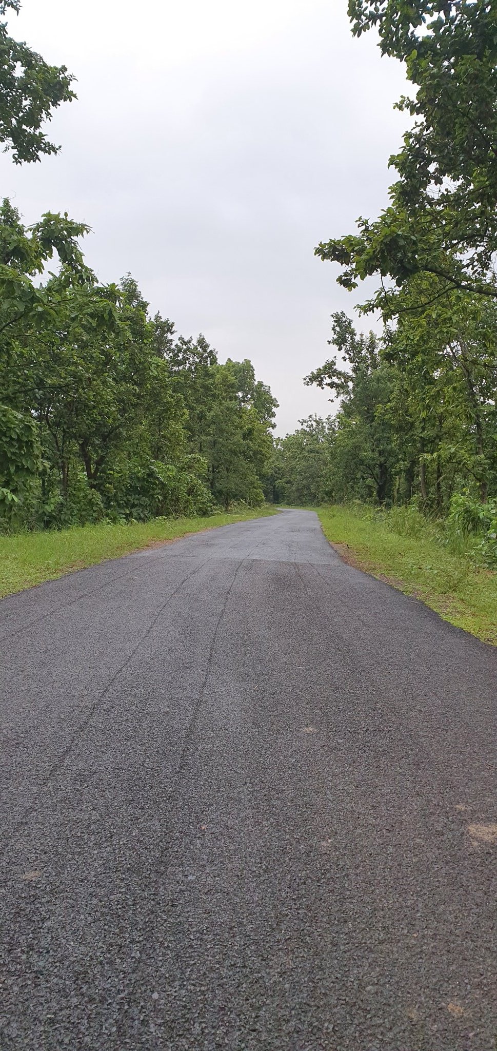 Roads