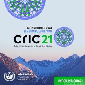 Cric21 in Samarkand