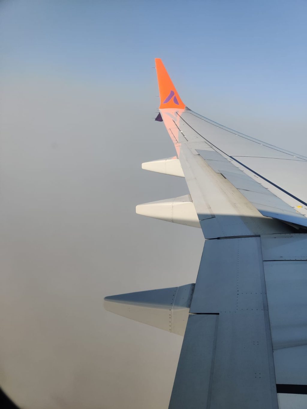 Heavy smog in the skyline of Delhi NCR seen from a flight approaching IGI Airports. Image credit The Raisina Hills