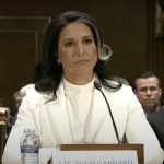 Tulsi Gabbard Image credit video grab of Congress hearing