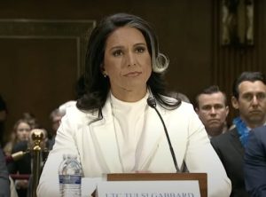 Tulsi Gabbard Image credit video grab of Congress hearing