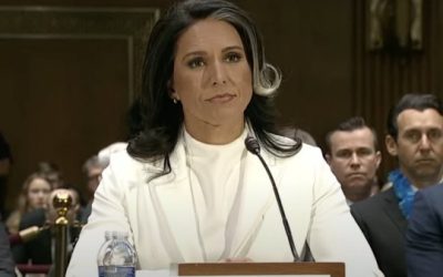 Tulsi Gabbard Image credit video grab of Congress hearing