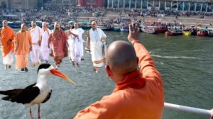 Mahakumbh Bird Festival Gets Skimmer as Mascot.