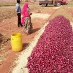 Farming in India !