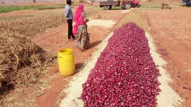 Farming in India !