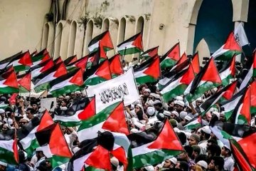 Pro-Gaza protests in Bangladesh !