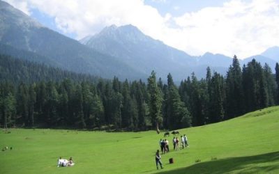 Pahalgam meadow where terrorists killed tourists !