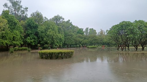 A park under water in Delhi !