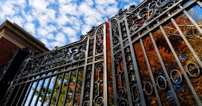 Harvard University (Image Harvard)