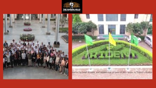 Trident Ltd. Reports Robust Q4 FY25 Results !