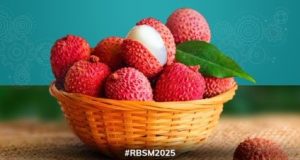 Bihar's Mithila Litchi!