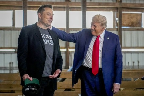 Elon Musk with Donald Trump in happier times !