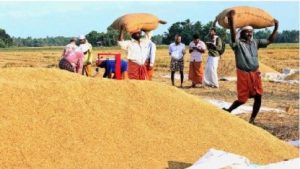 Paddy Procurement Crisis in Odisha!