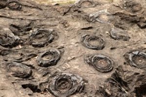 Salkhan-fossils-park-joins-unesco-tentative-world-heritage-list!