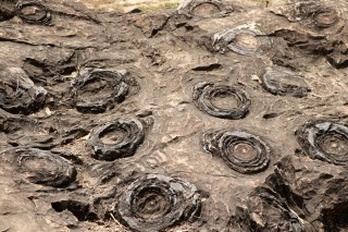 Salkhan-fossils-park-joins-unesco-tentative-world-heritage-list!