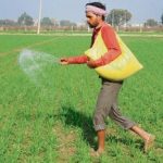 Farmer with DAP Fertilizer!