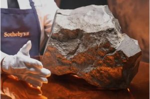 Largest Martian Meteorite Ever Found!