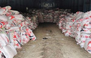 Cargo of Star Cement bags!