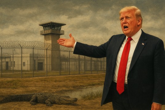 A representative image of Alligator Alcatraz!