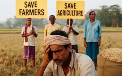 A representative image of farm crisis in Odisha!
