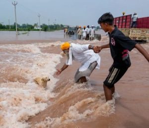Flood in Amritsar area of Punjab!