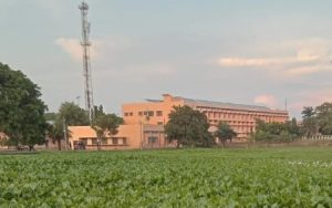 Overgrown wild shrubs in Bhagalpur College of Engineering!