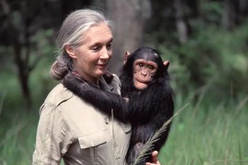 Primatologist, conservationist, and activist Jane Goodall dies at 91!