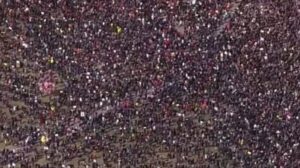 Millions Flood US Streets in Historic 'No Kings' Protests Against Trump.