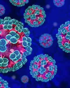 Hantavirus Outbreak on Cruise Ship MV Hondius.