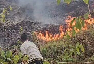 Uttarakhand’s Burning Forests Reveal a Deeper Ecological Crisis.
