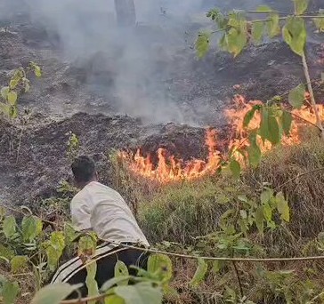 Uttarakhand’s Burning Forests Reveal a Deeper Ecological Crisis.