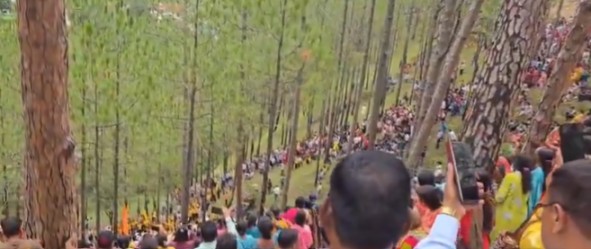 Massive protests in Rishikesh over alleged felling of trees for road widening project.
