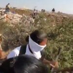 Sijimali Protests Show Why Tribal Consent Cannot Be Reduced to Paperwork