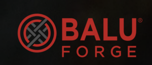 Balu Forge shares jumped 11% on Friday.