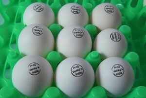 Venky's stock in focus as egg prices rise in India.