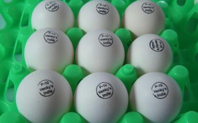 Venky's stock in focus as egg prices rise in India.