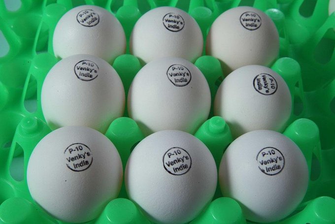 Venky's stock in focus as egg prices rise in India.