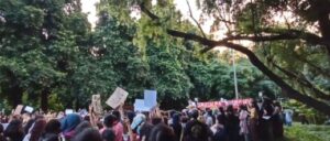 Kachori and samosas representing a viral slogan from women's safety protests in India.