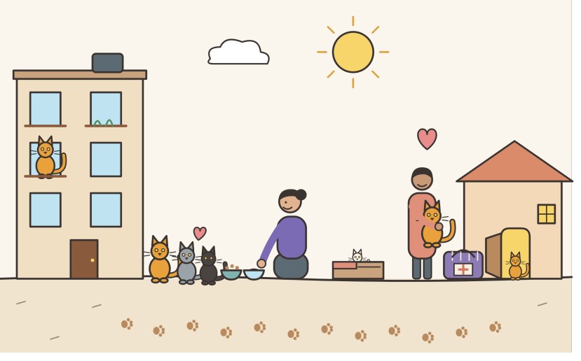 Sketch of a woman feeding community cats, a kitten in a box, a person adopting a cat and paw prints leading to a home.